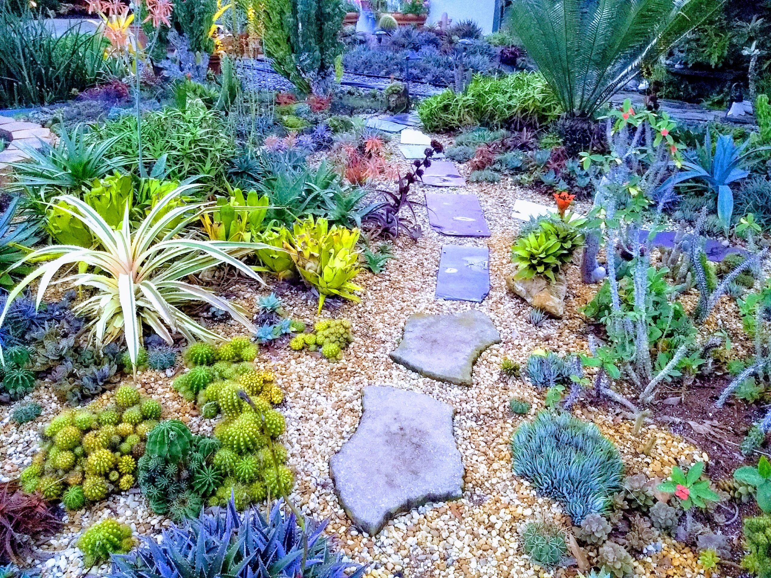 WC Drought Tolerant Garden