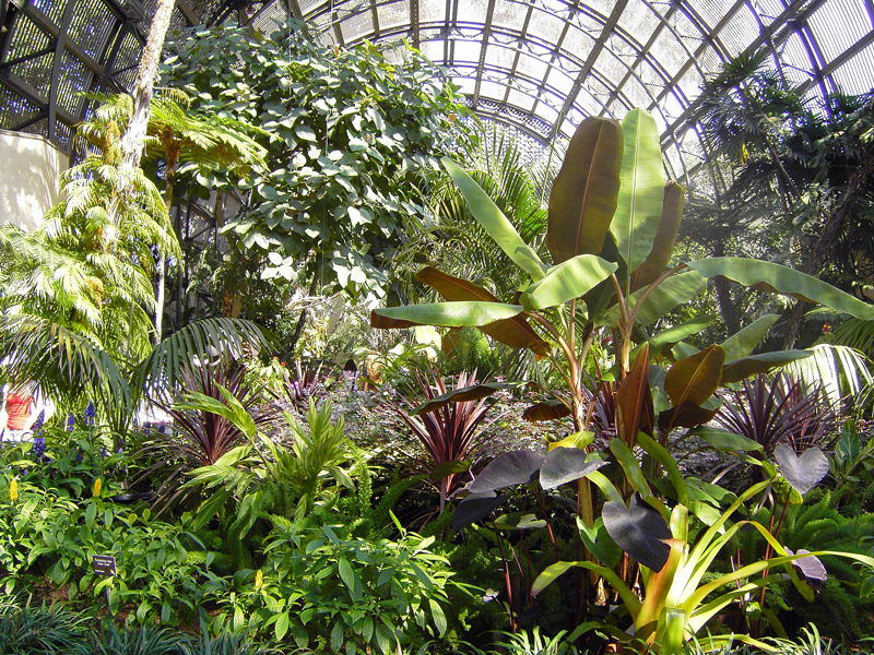 Terrarium at Balboa Park Botanic Garden